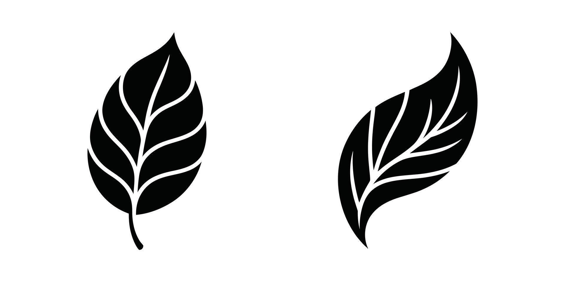 Two stylized black leaves minimalist nature design elements elegant, simple, and versatile graphics for eco-friendly branding. vector
