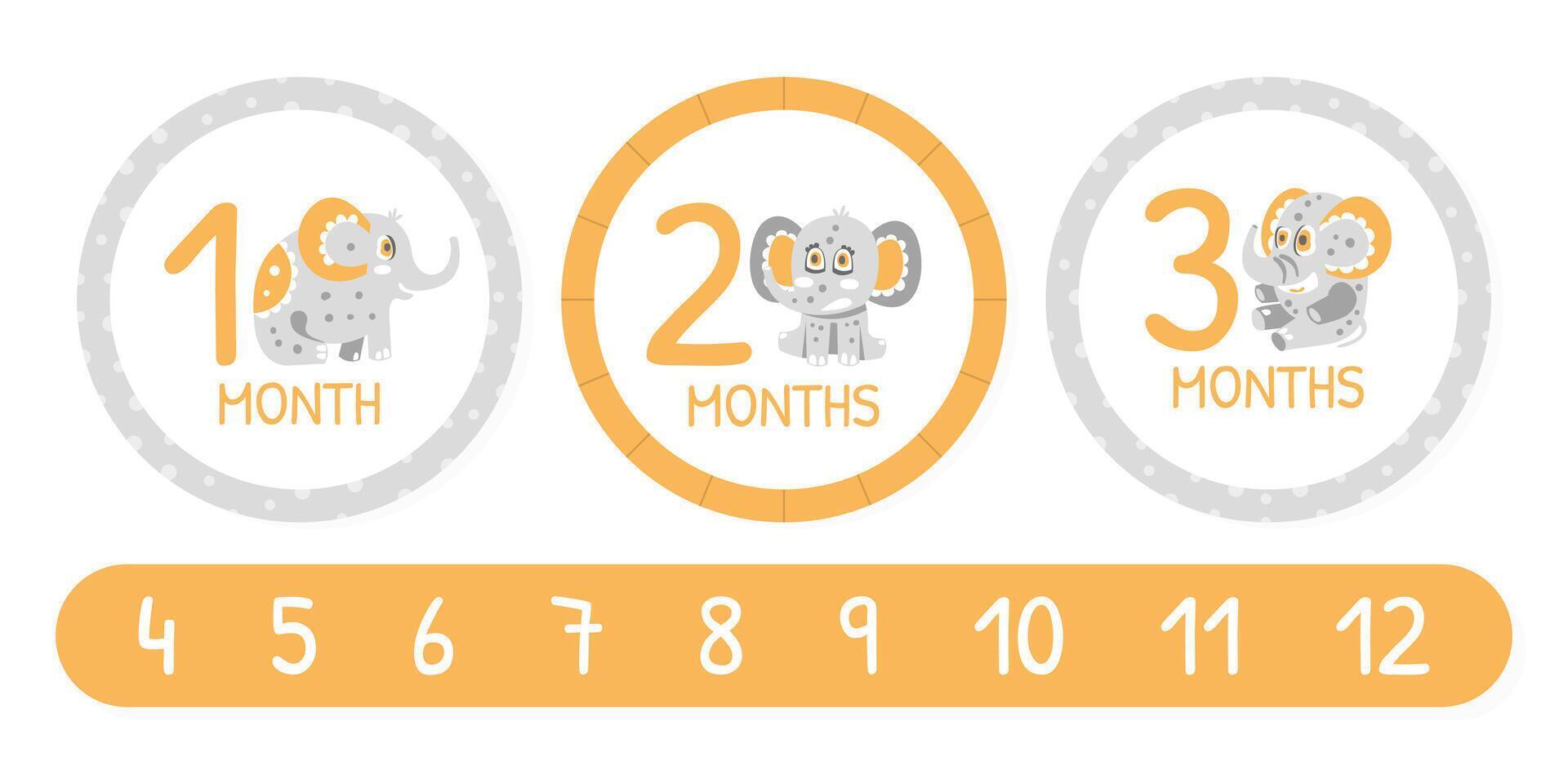 Month Card with Cute Elephant Character with Trunk and Tusks Template vector