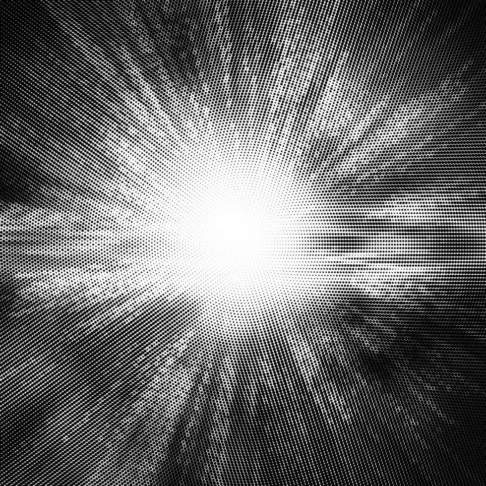 Halftone Pattern. Set of Dots. Dotted Texture on White Background. Overlay Grunge Template. Distress Linear Design. Fade Monochrome Points. Sun Pop Art Backdrop. vector