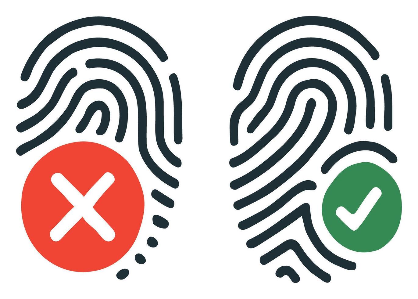 Fingerprint Authentication Secure Login System with Verified Access vector