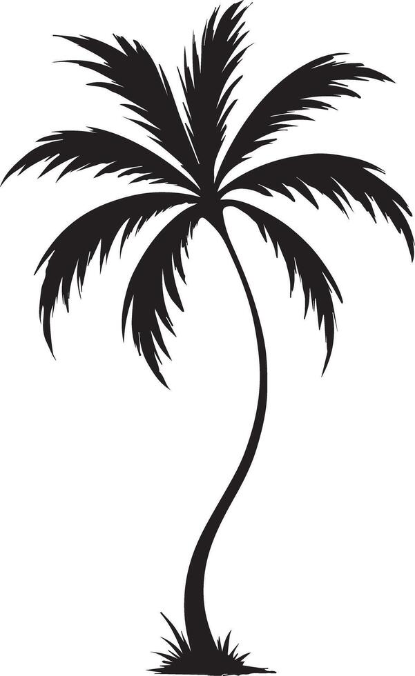 Palm tree for use. vector