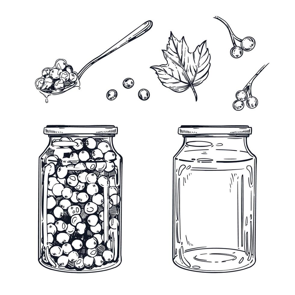 A set of illustrations on the theme of blanks, preservation of viburnum berry jam, an empty jar, a teaspoon with jam. Everything is hand-drawn with ink, for printing on paper, fabric, packaging vector