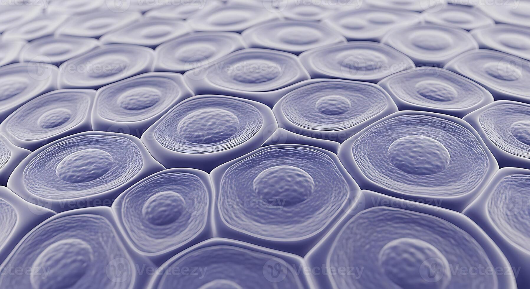 Detailed Microscopic View Of Interconnected Cells Arranged In A Regular Pattern, Highlighting Cellular Biology And Tissue Structure. photo