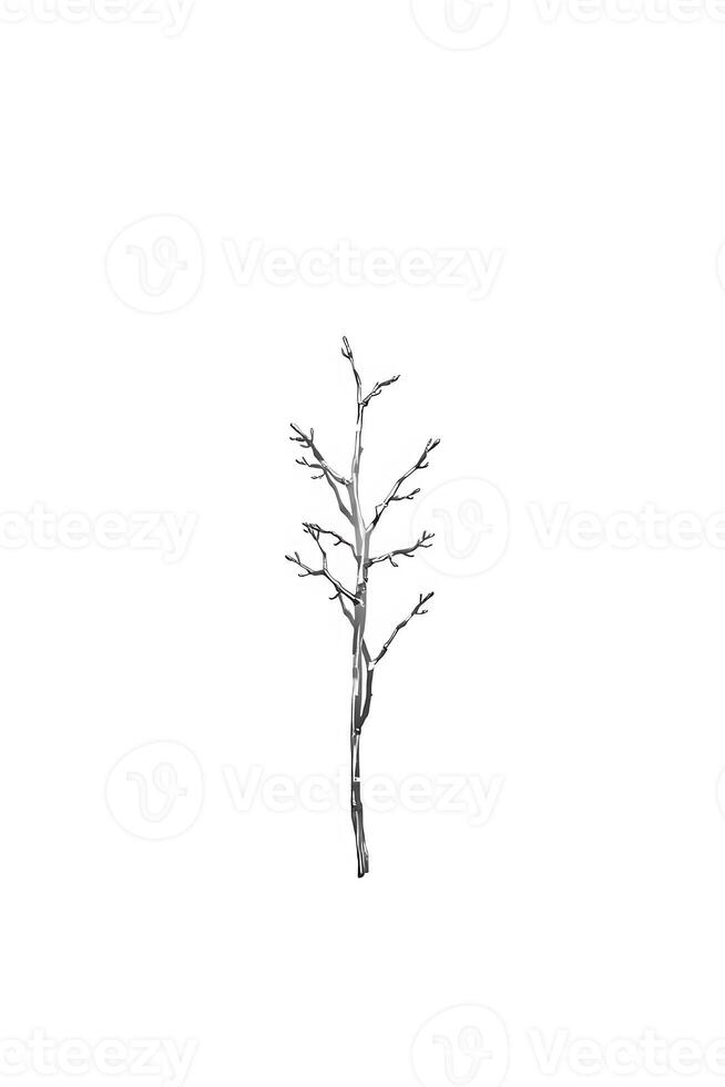 Abstract flowing lines create a sense of calm and modern design, perfect for backgrounds photo