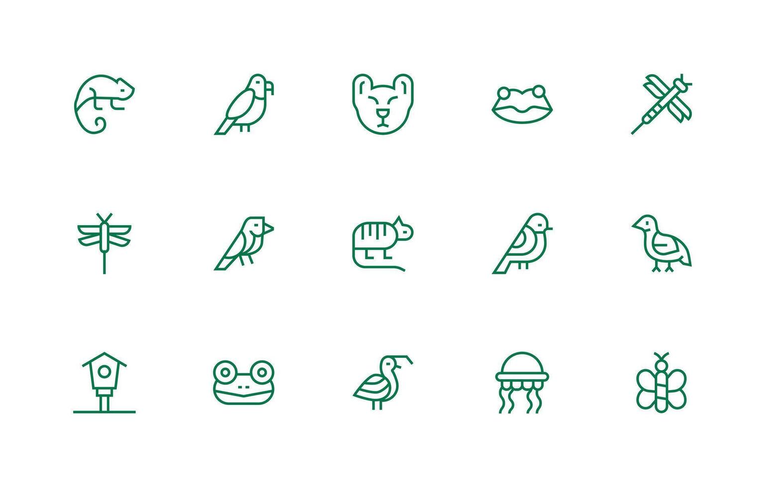 15 Regular Line Icons for Fauna Graphics vector