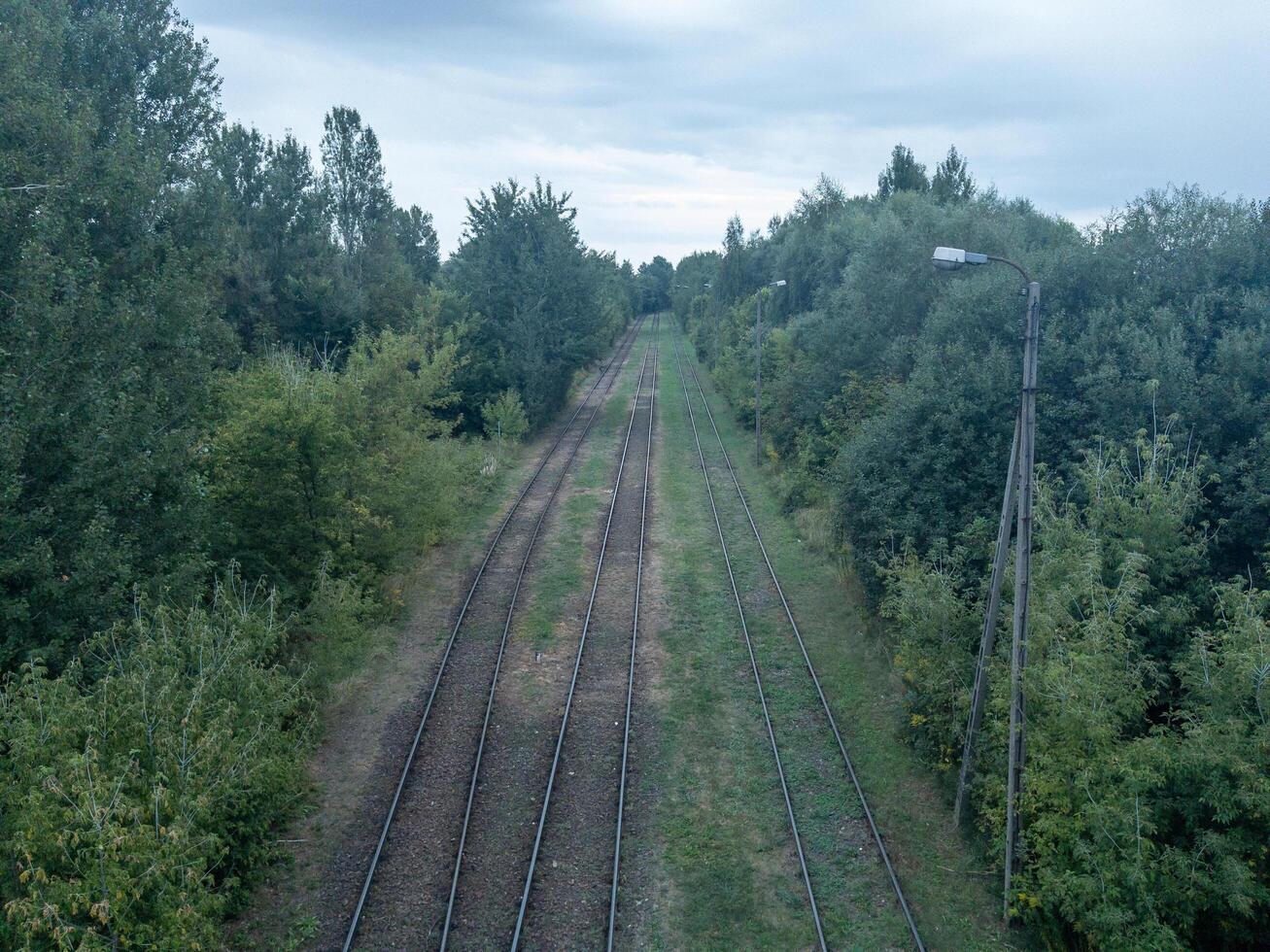 Multiple railway tracks running through a green forest corridor under an overcast sky, elevated view with vanishing point photo