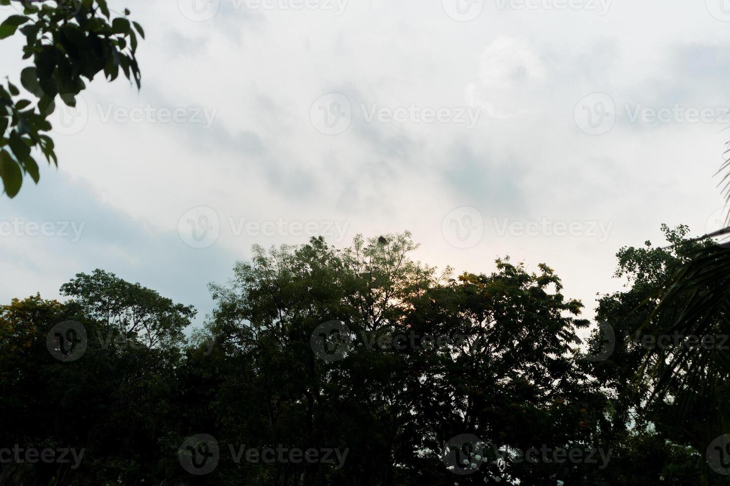 Rays of sunlight stream from the corner of horizon skyline casting a warm glow near the park path with sunset twilight sky background scene with tree silhouette shadow photo