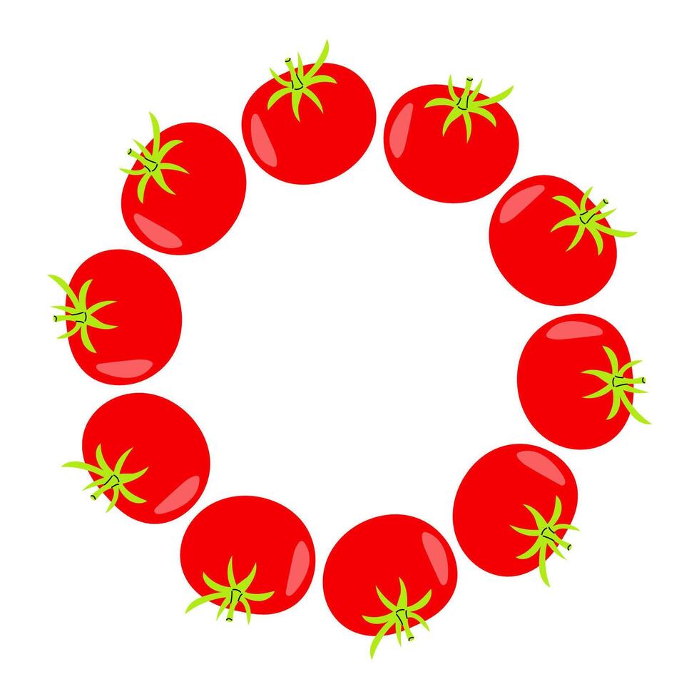 Round frame tomatoes arranged in a circular pattern on a white background for culinary presentation vector