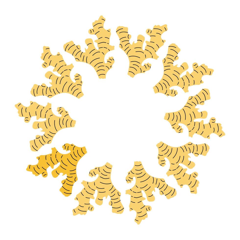 Fresh ginger Round frame on a white background showcasing vibrant color and texture vector