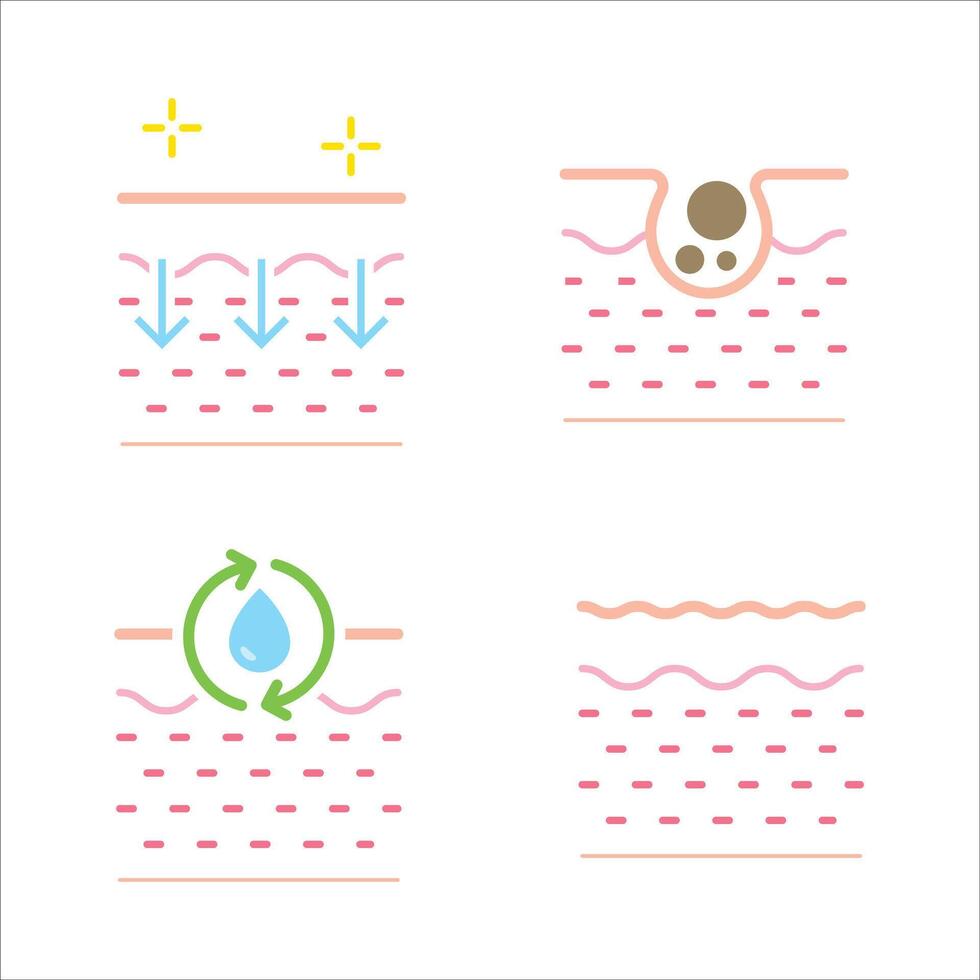 Four different stages of a skin care routine. The first stage involves cleansing the skin, followed by exfoliating and moisturizing. The fourth stage is the final step vector