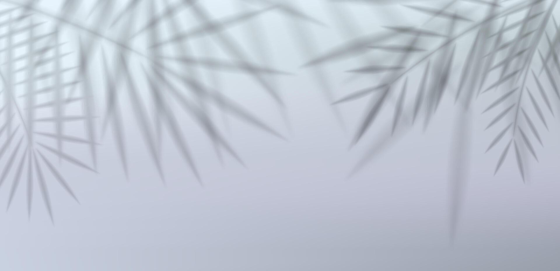 Tropical palm tree leaf shadow overlay with sunlight reflection on white wall. Realistic silhouette background for summer beach design, presentation, mockup or exotic nature template. vector