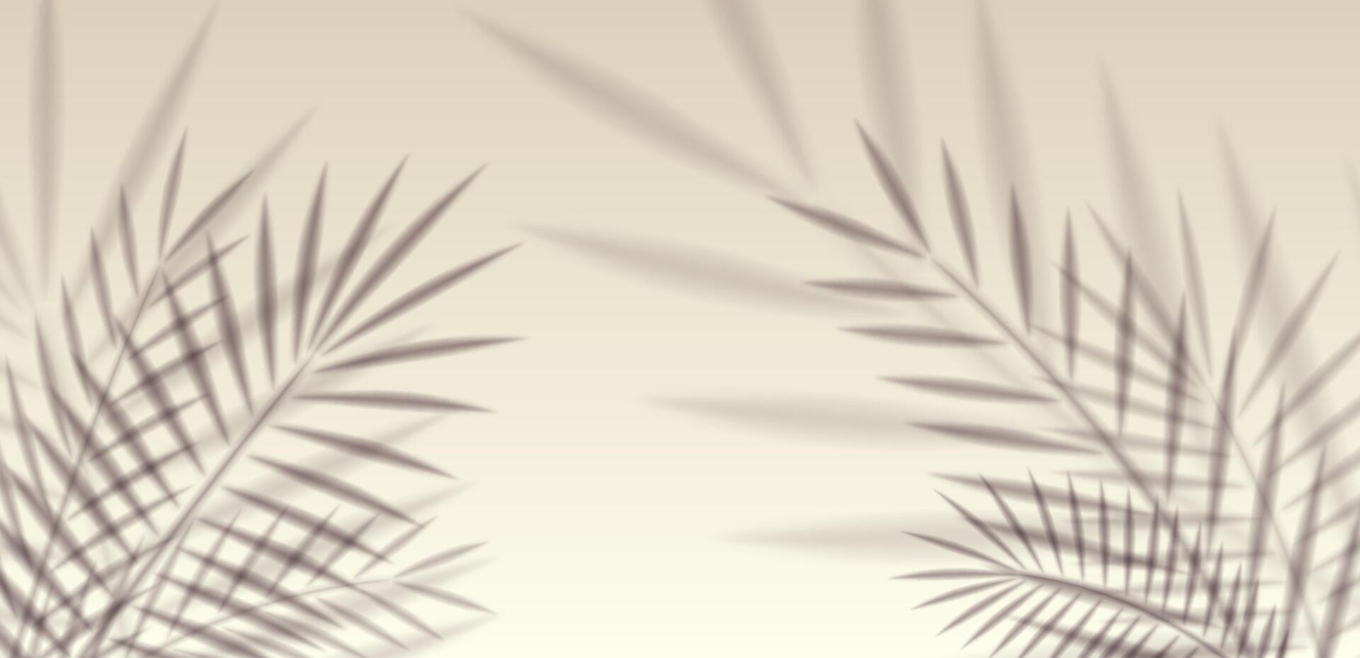 Tropical palm foliage shadow with sunlight blur effect on wall. Realistic overlay background for exotic beach template, presentation, spring nature design or mockup element. vector