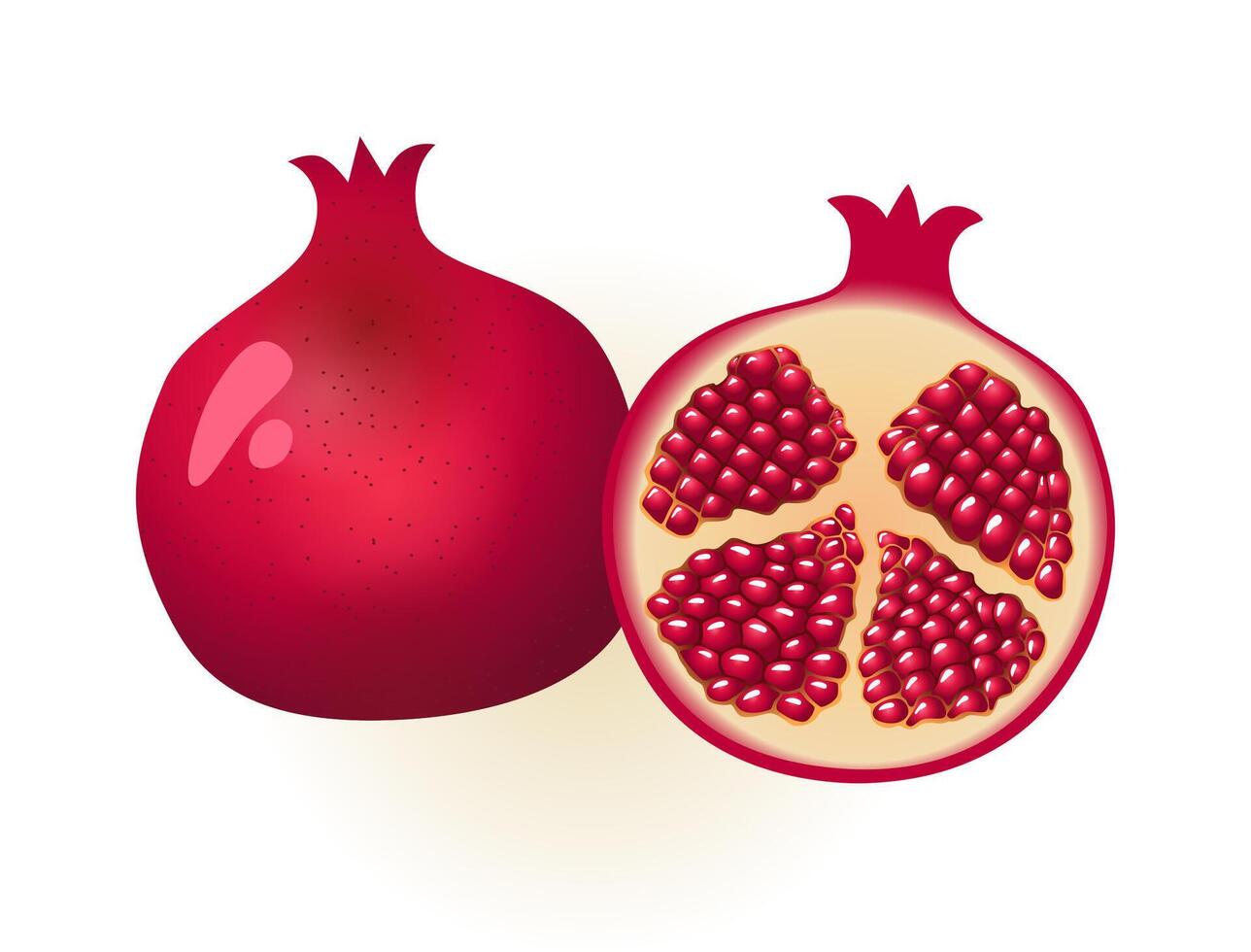 Creative 3D juicy pomegranate. Pomegranate in section with seeds. Cartoon style. Digital image with color effects and isolated clipping mask vector
