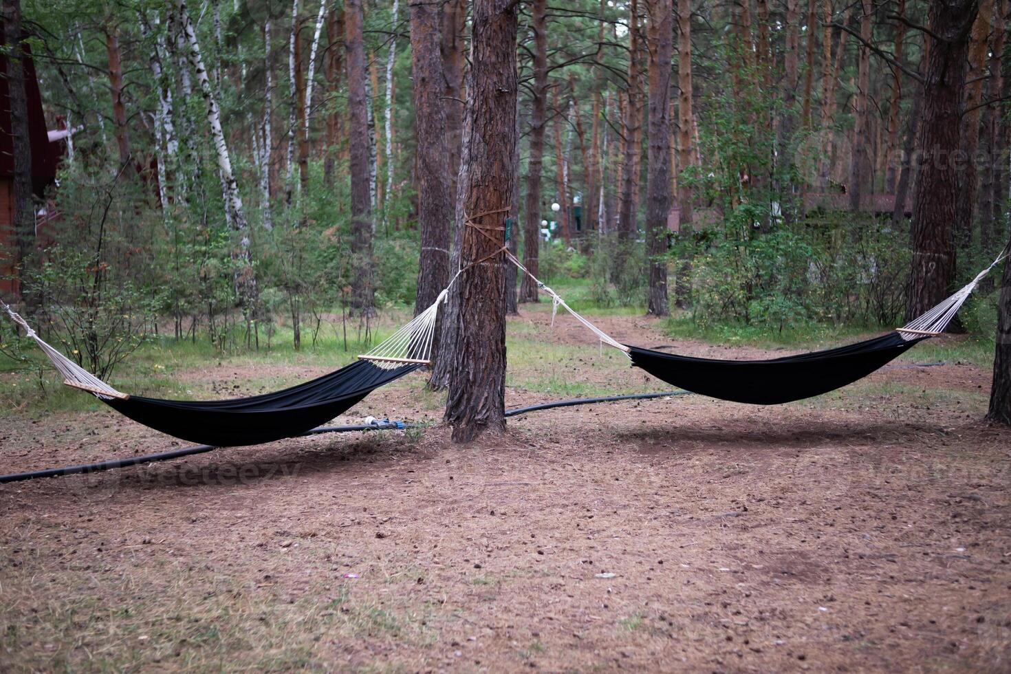 The image presents a scene of relaxation and technology, as someone uses a tablet while lounging in a hammock. photo