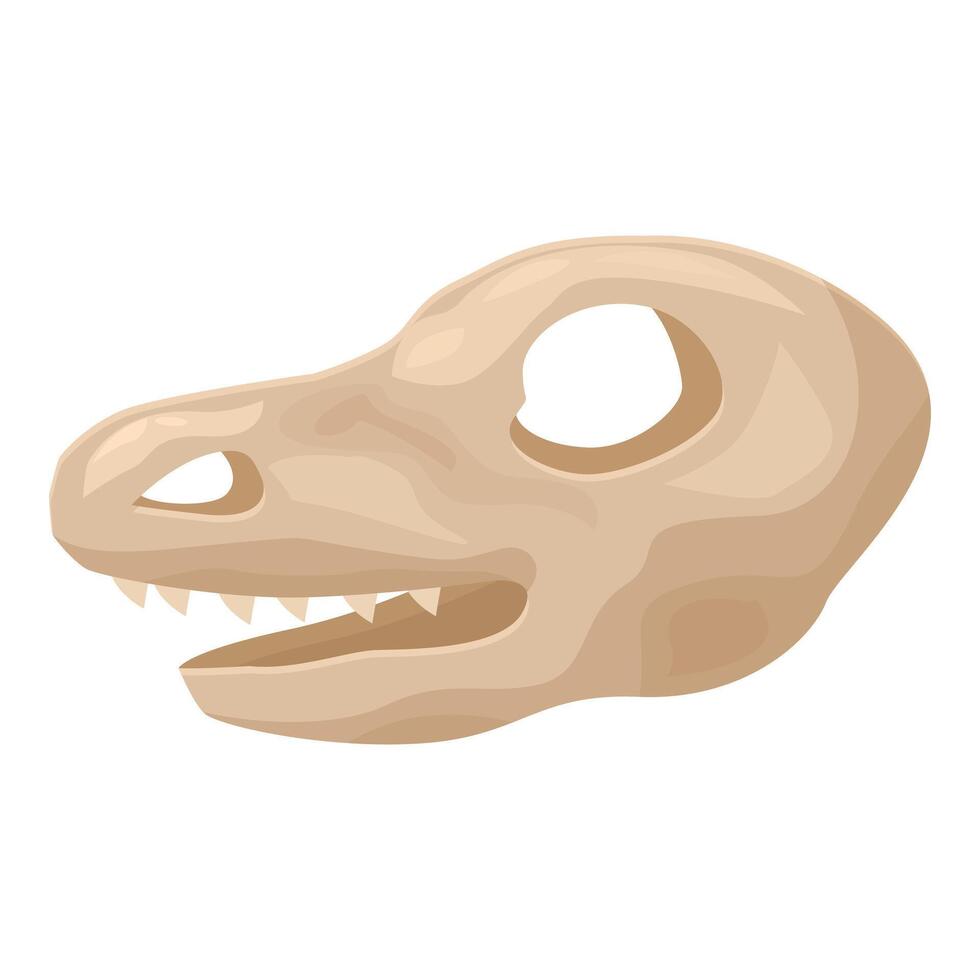 Dinosaur skull fossil showing sharp teeth and eye socket vector
