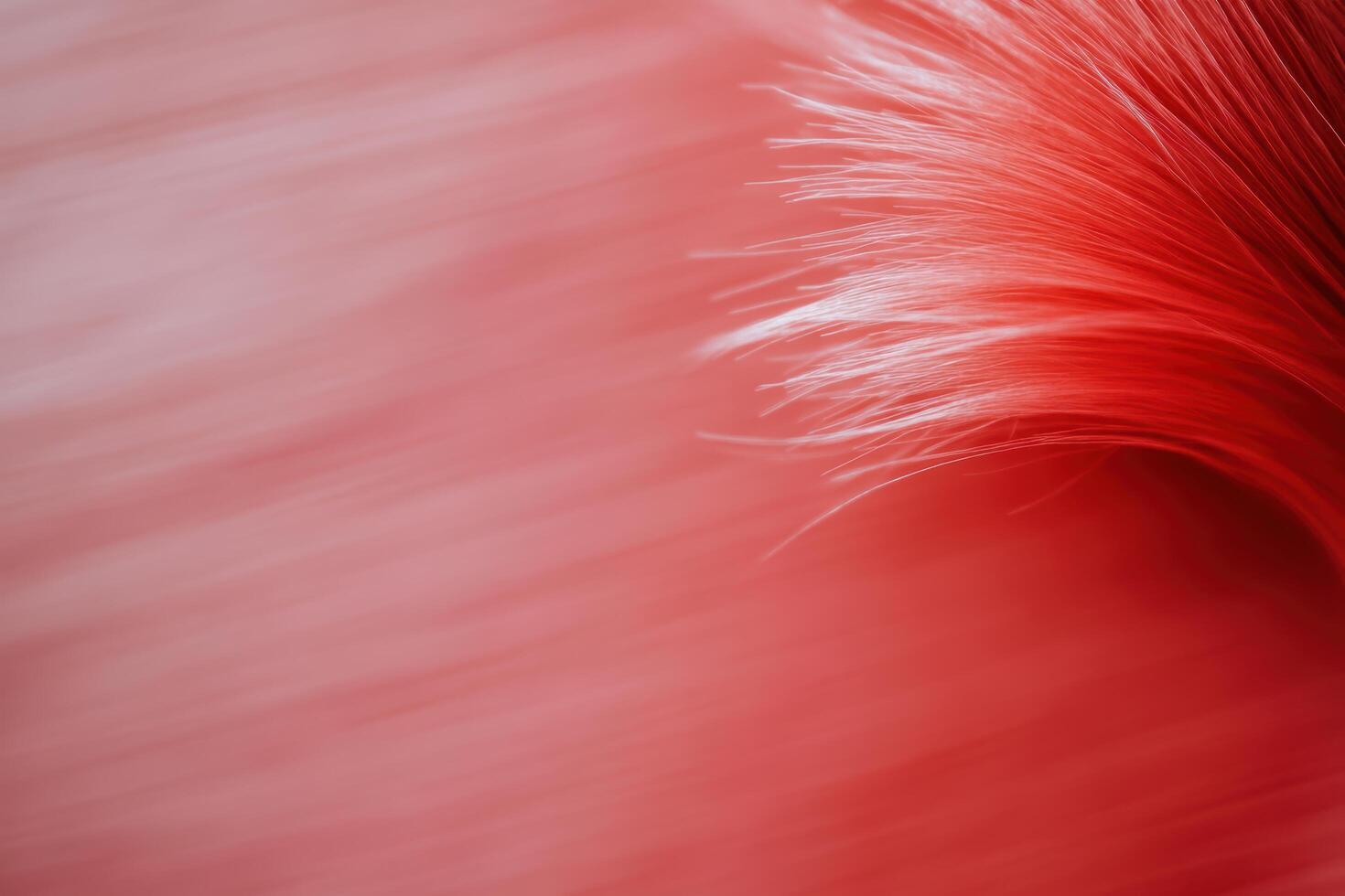 Vibrant red fur texture creating a striking visual effect photo