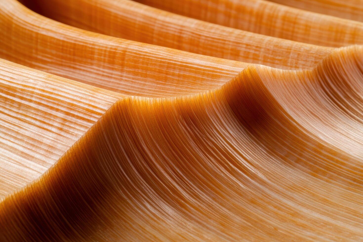 Rippling patterns of a large seashell displaying natural textures and colors photo