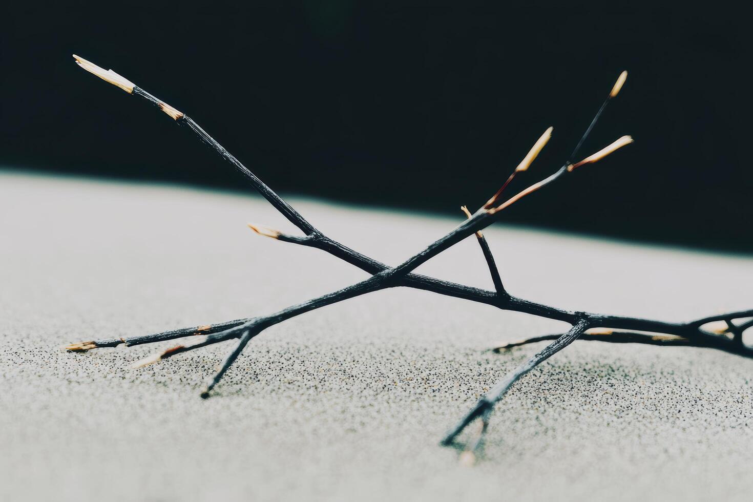 Dry twig resting on a textured surface in a minimalistic setting photo