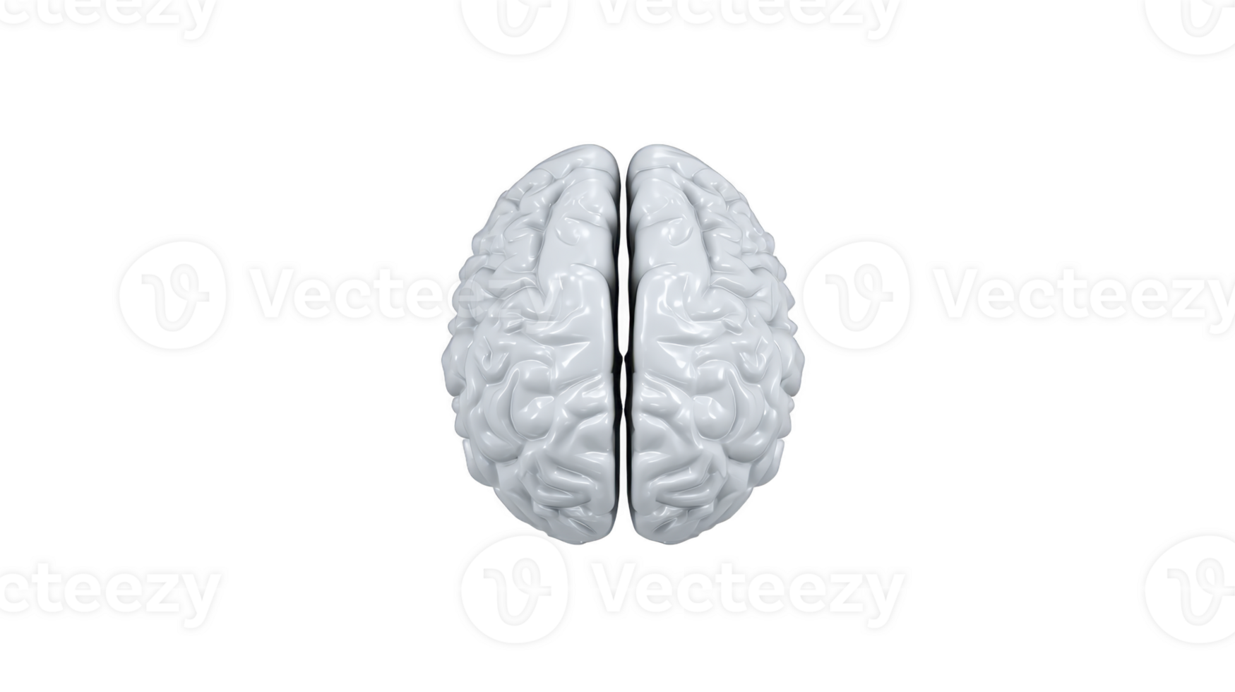 Realistic 3D rendering of human brain, showcasing intricate details and smooth, glossy surface. brain is depicted in symmetrical view, emphasizing its unique structure and complexity png