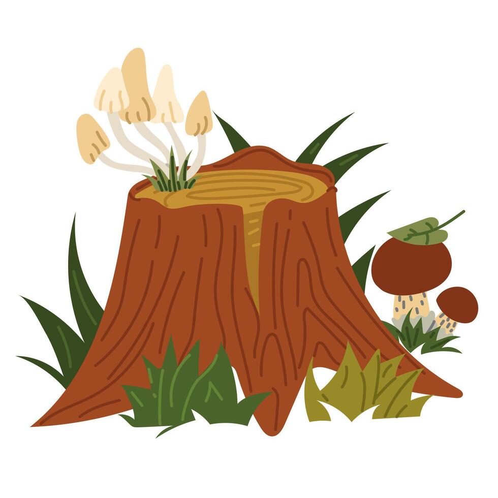 stump is covered with mushrooms in grass. Flat color isolated illustration. Forest object. A felled tree is covered with mushrooms. Design for postcards. Picnic, hiking , picking mushrooms in forest vector