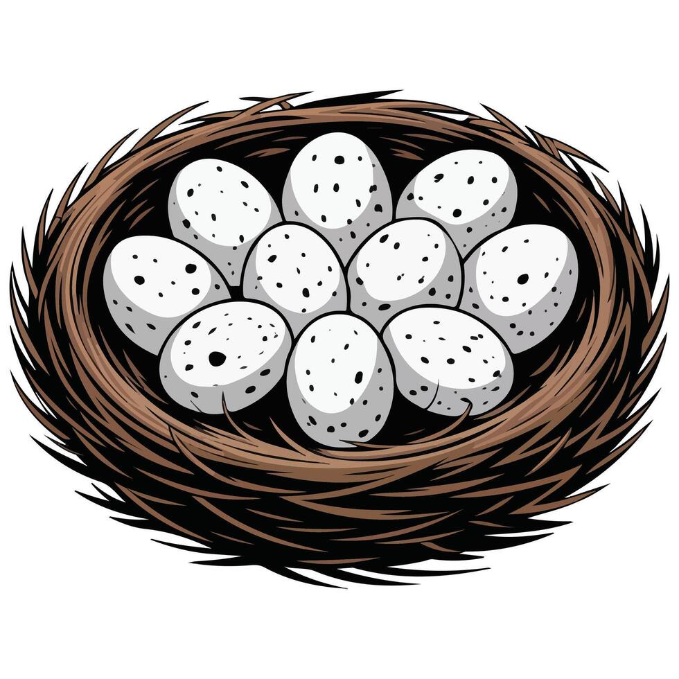 Bird nest with speckled eggs one broken shell texture pattern illustration on white background vector