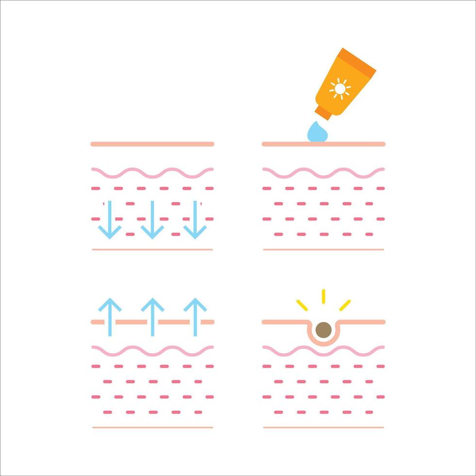 A series of four images of a face with a bottle of sunscreen being applied to it. The images show the process of applying sunscreen to the face, with the bottle being poured onto the face vector