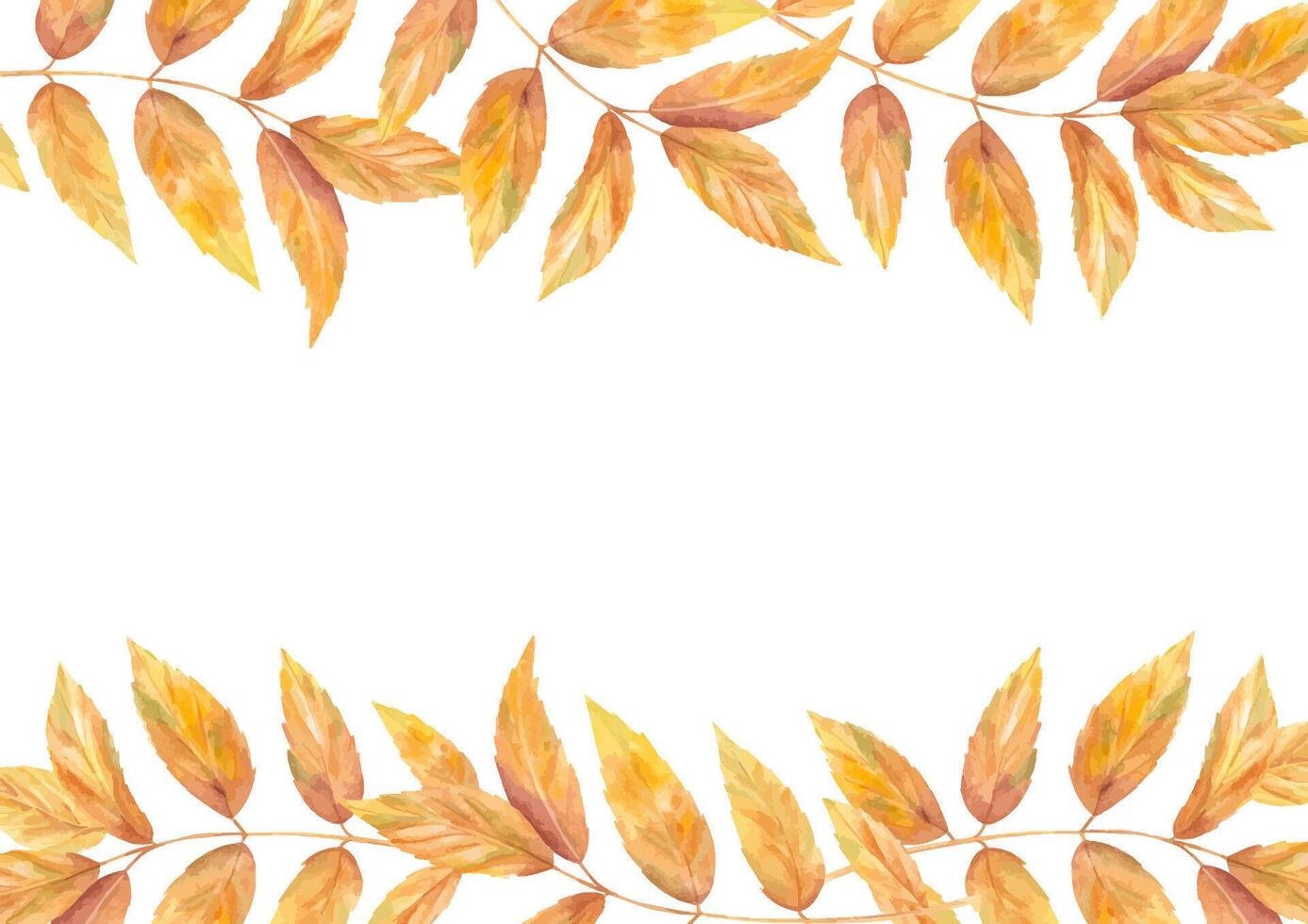 Horizontal border of golden autumn leaves. Fall ash or walnut branches watercolor illustration on isolated background. Foliage frame for botanical design, holiday greeting card. Empty space for text vector