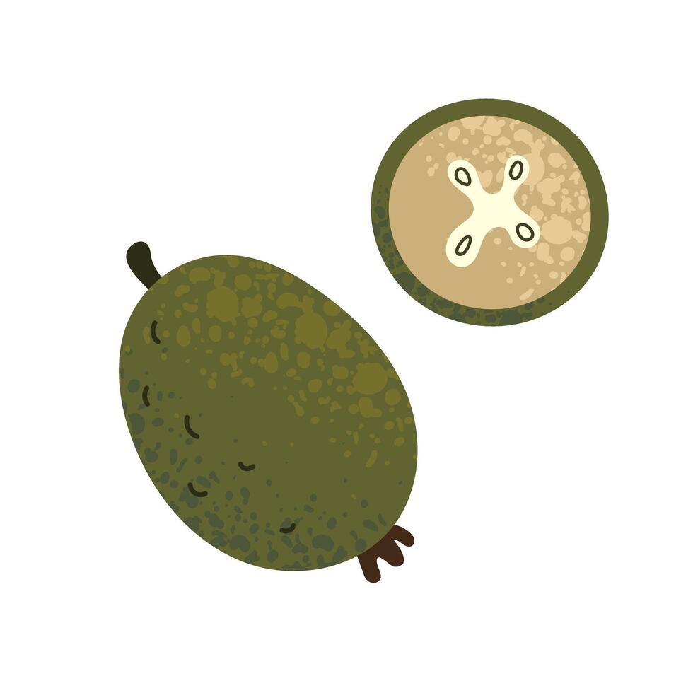 Isolated element of fruit and slice of feijoa with grainy texture effect. Modern flat botanical illustration. Decoration print for card, poster, advertisement, sticker, scrapbooking, menu vector