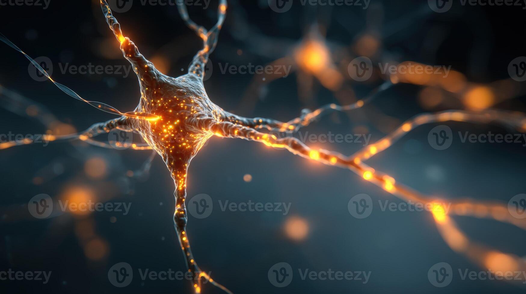 Neural Network Illustration Neuron Structure and Synaptic Connections for Medical and Scientific Visualization photo
