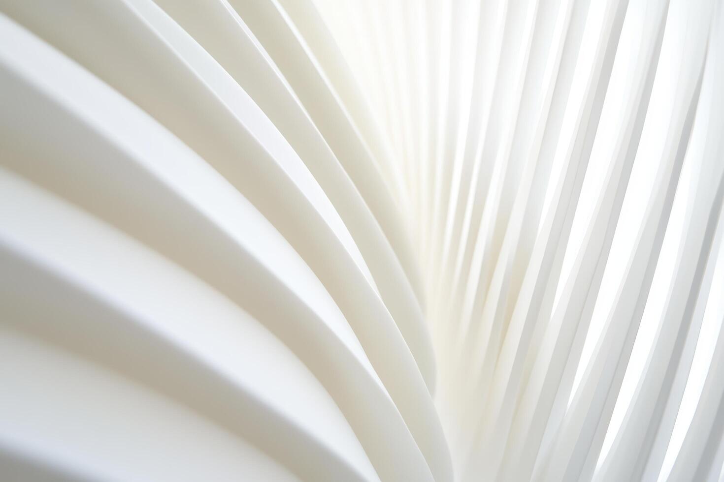 Intricate patterns of white curved lines create a serene atmosphere in design photo