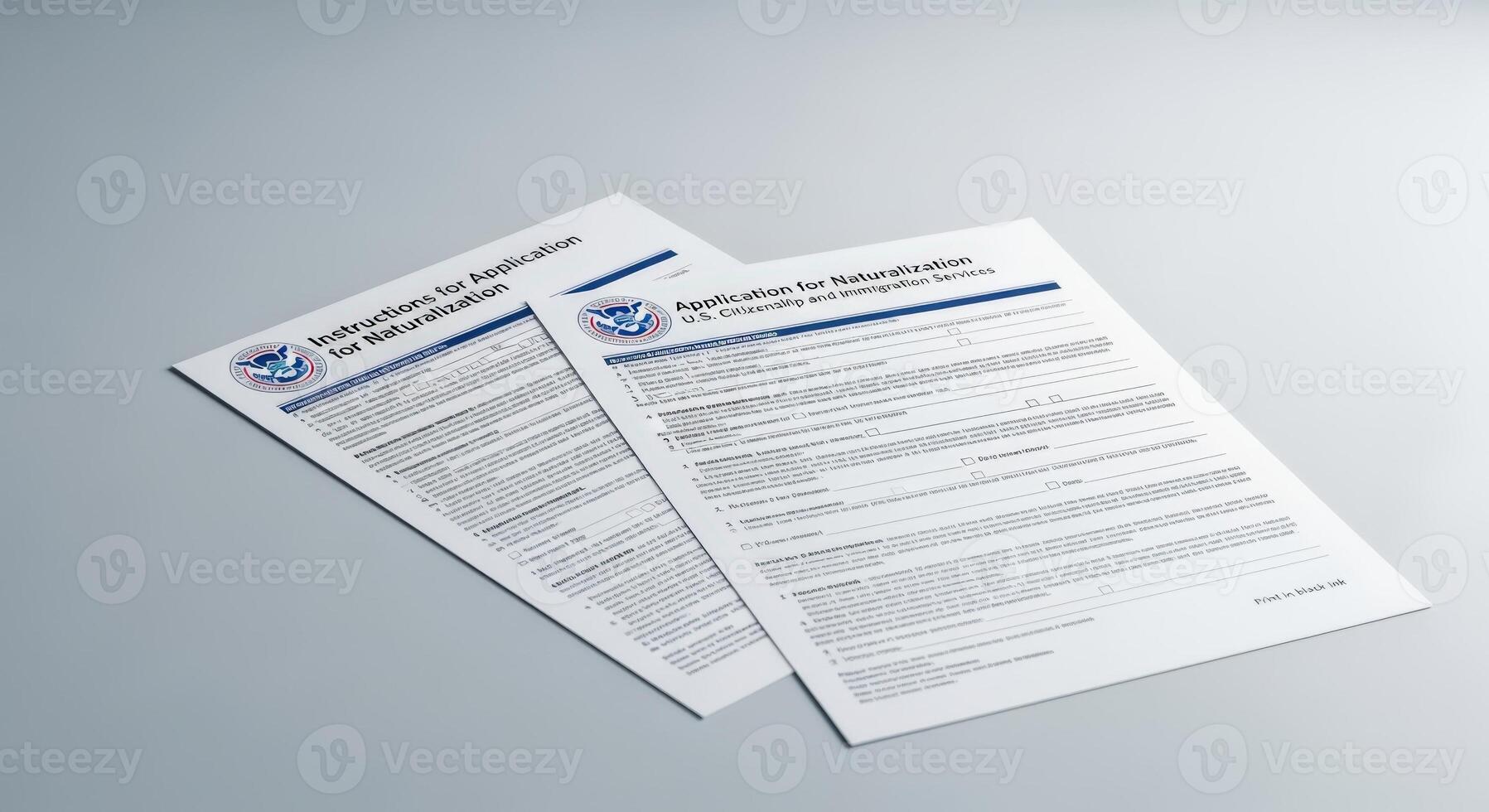 Naturalization Application Form on Gray Background Displaying Citizenship Process and Immigration Paperwork photo