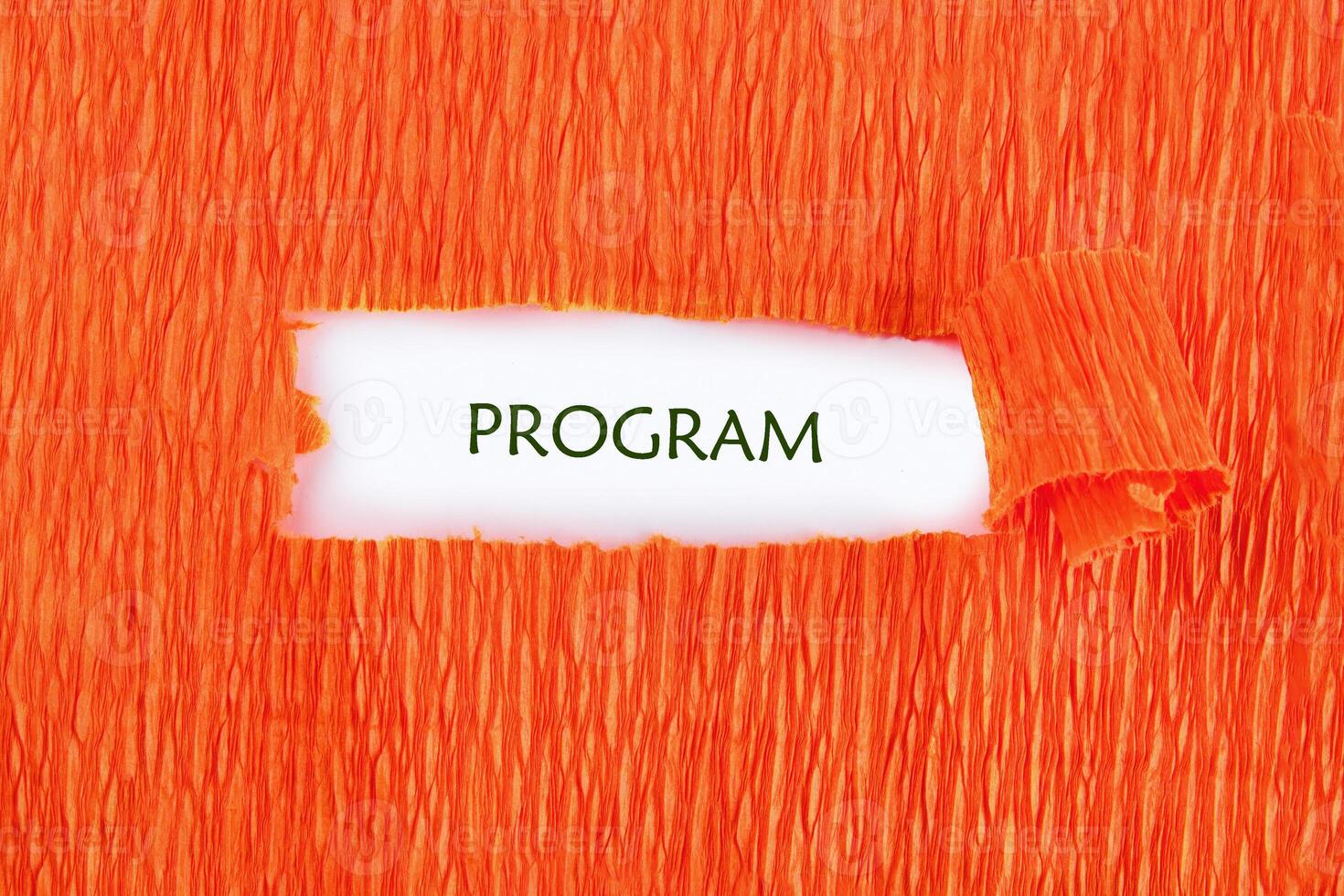 Concept word PROGRAM. Data Digital Programs System Technology Concept photo