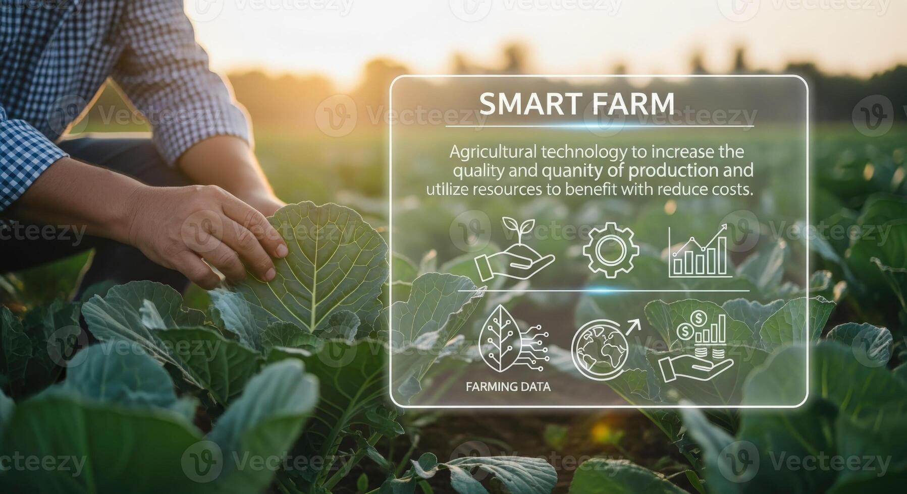 Precision Agriculture Concept Farmer Inspecting Crops with Smart Farm Technology Overlay for Efficient and Sustainable Farming Practices photo