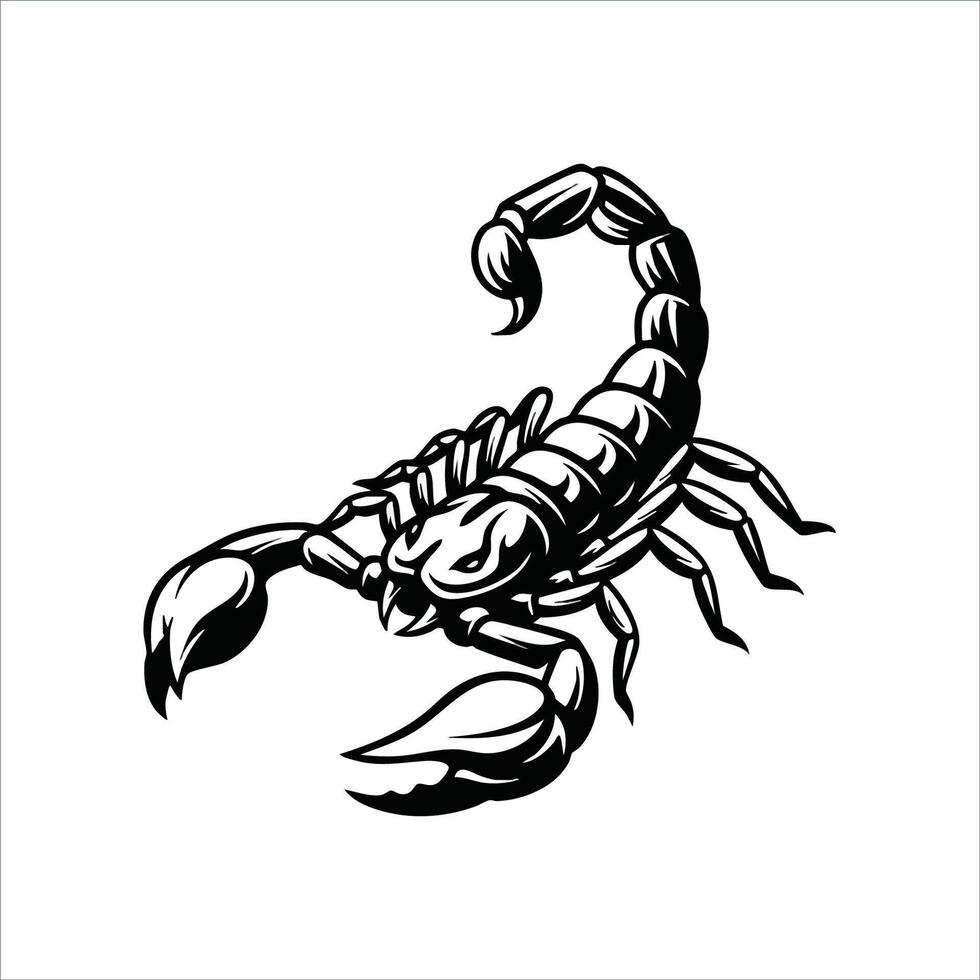Detailed Black and White Scorpion Illustration with Sharp Claws and Segmented Tail. vector