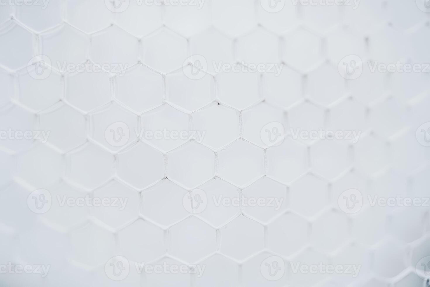 Hexagonal patterns highlight the fine details of a natural element photo