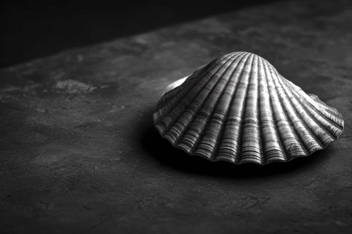 Shell rests elegantly on a dark surface revealing its intricate patterns photo