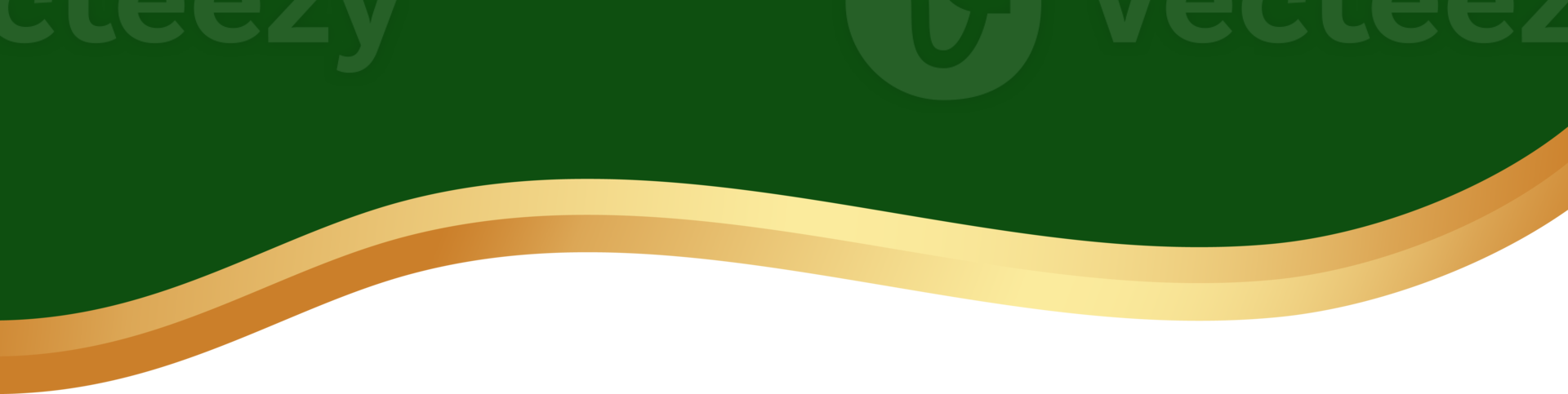 Border shape for banner design. Green header section with golden line. Abstract bottom background for web page. Curved divider template Wavy horizontal separator. png