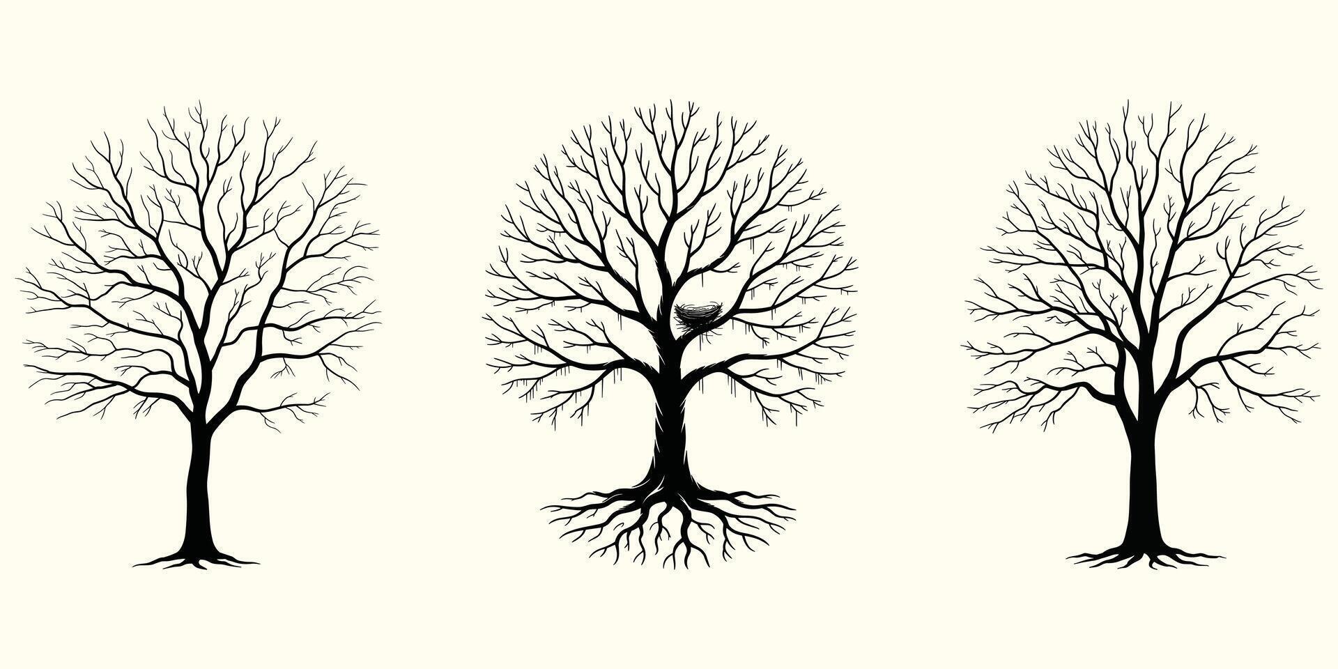 Three silhouette trees with intricate branches and roots on a cream background Keywords tree vector