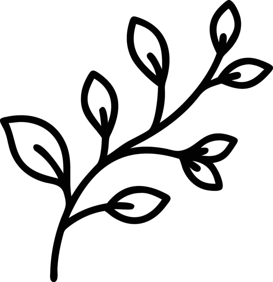 Botanical line art drawing of leaves and branch for minimalist design element use vector
