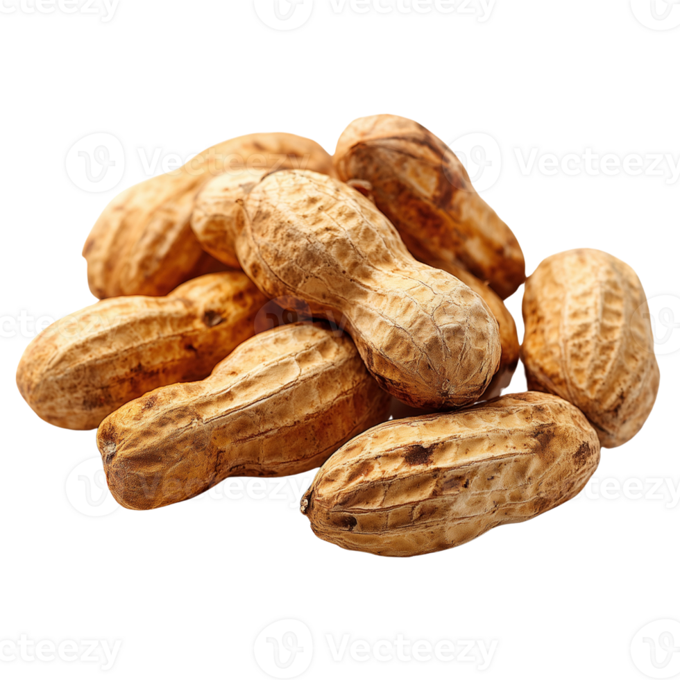 Peanuts, Arachis hypogaea, are displayed with some in their rough, textured shells and others peeled, revealing their smooth, brown kernels on transparent background. png