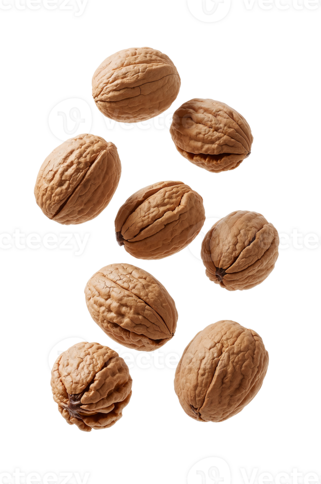 Elevated walnuts creating a dynamic composition on an isolated transparent surface revealing png