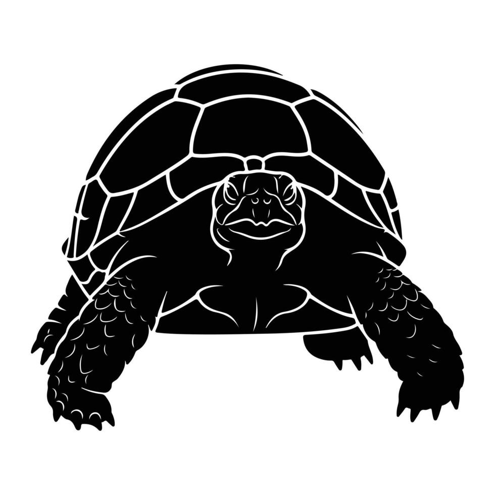 Black turtle shell pattern tortoise reptile vector