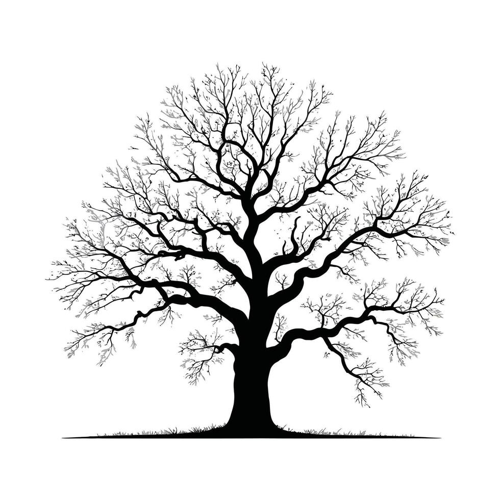 Elegant Silhouette Illustration of a Deciduous Tree with Sparse Leaves on White Background vector