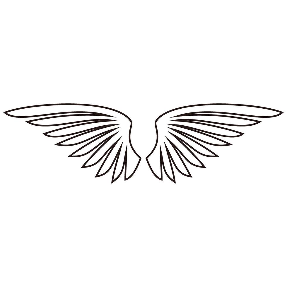 Wings icon. Outline illustration of wings icon for web and app. vector