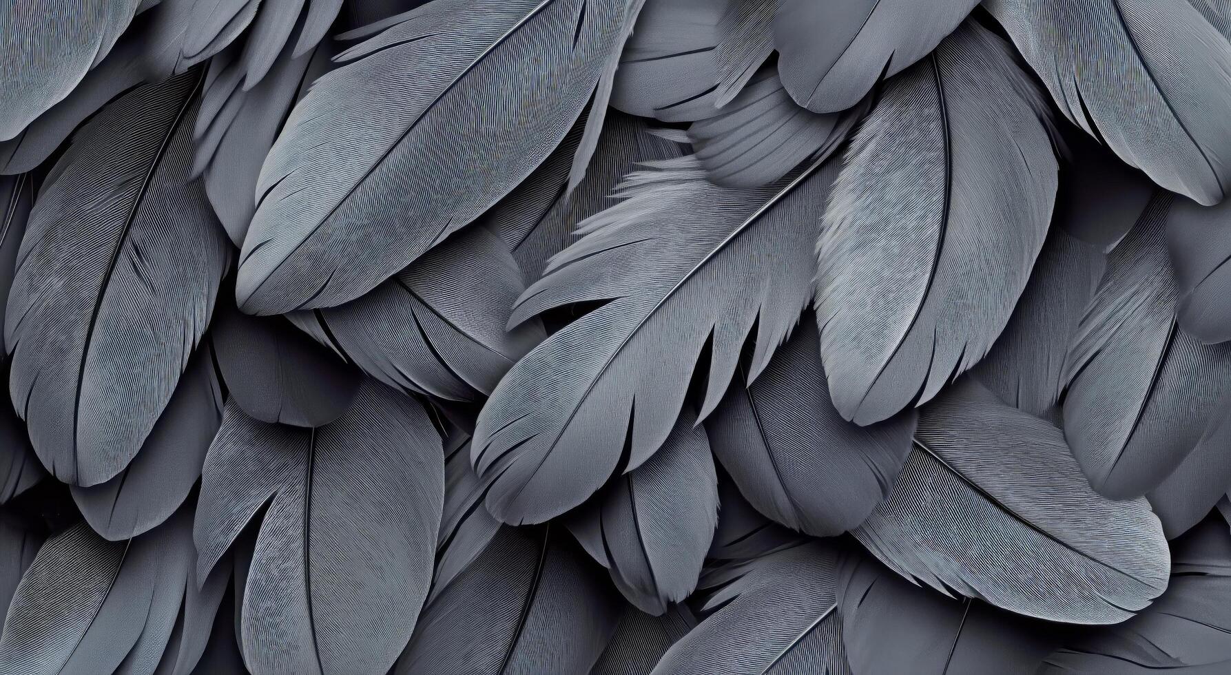 Detailed Black Feathers Layered Together Create a Striking Texture and Pattern in Soft Light photo