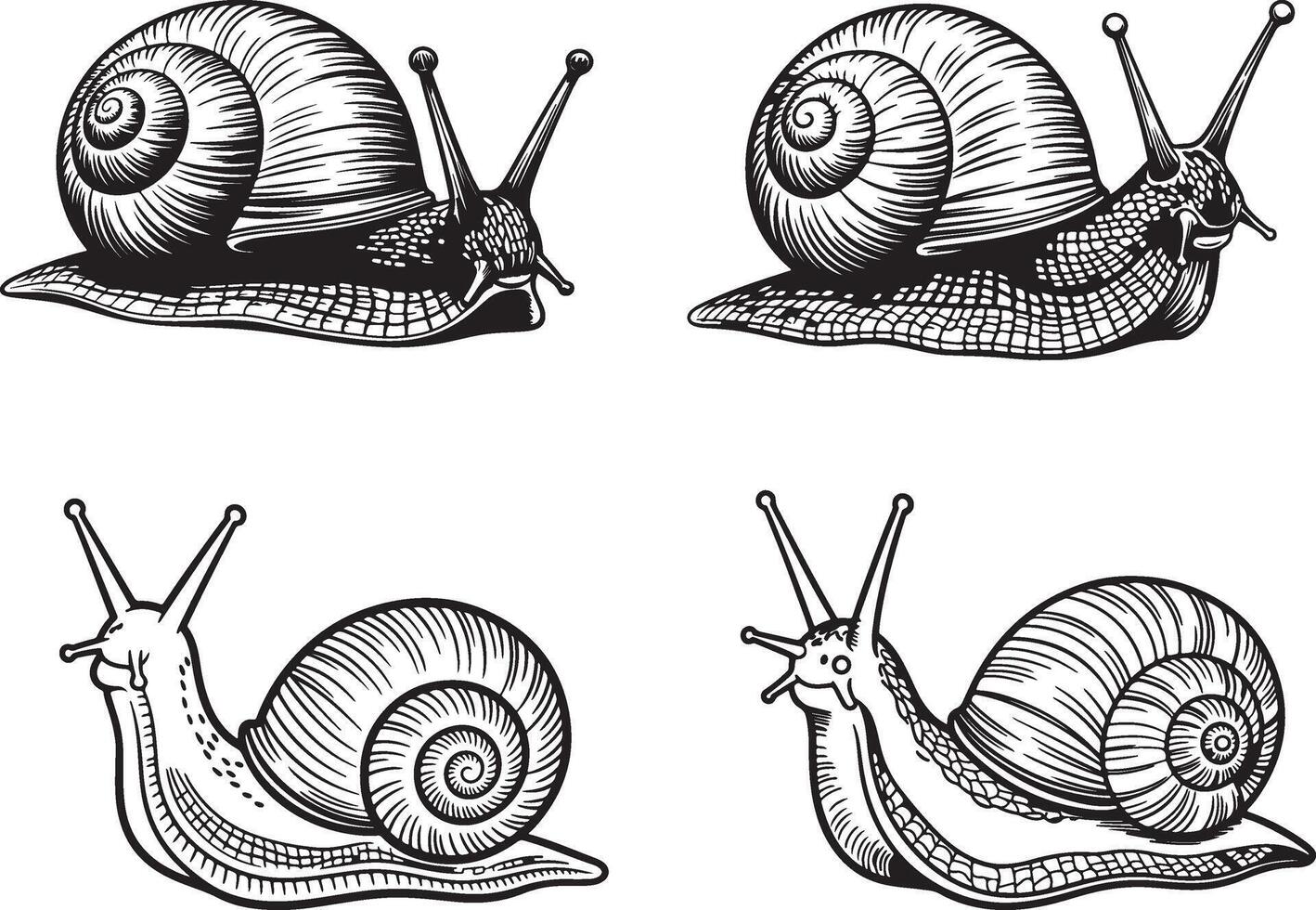 Set of snails and snail shells isolated on white background vector