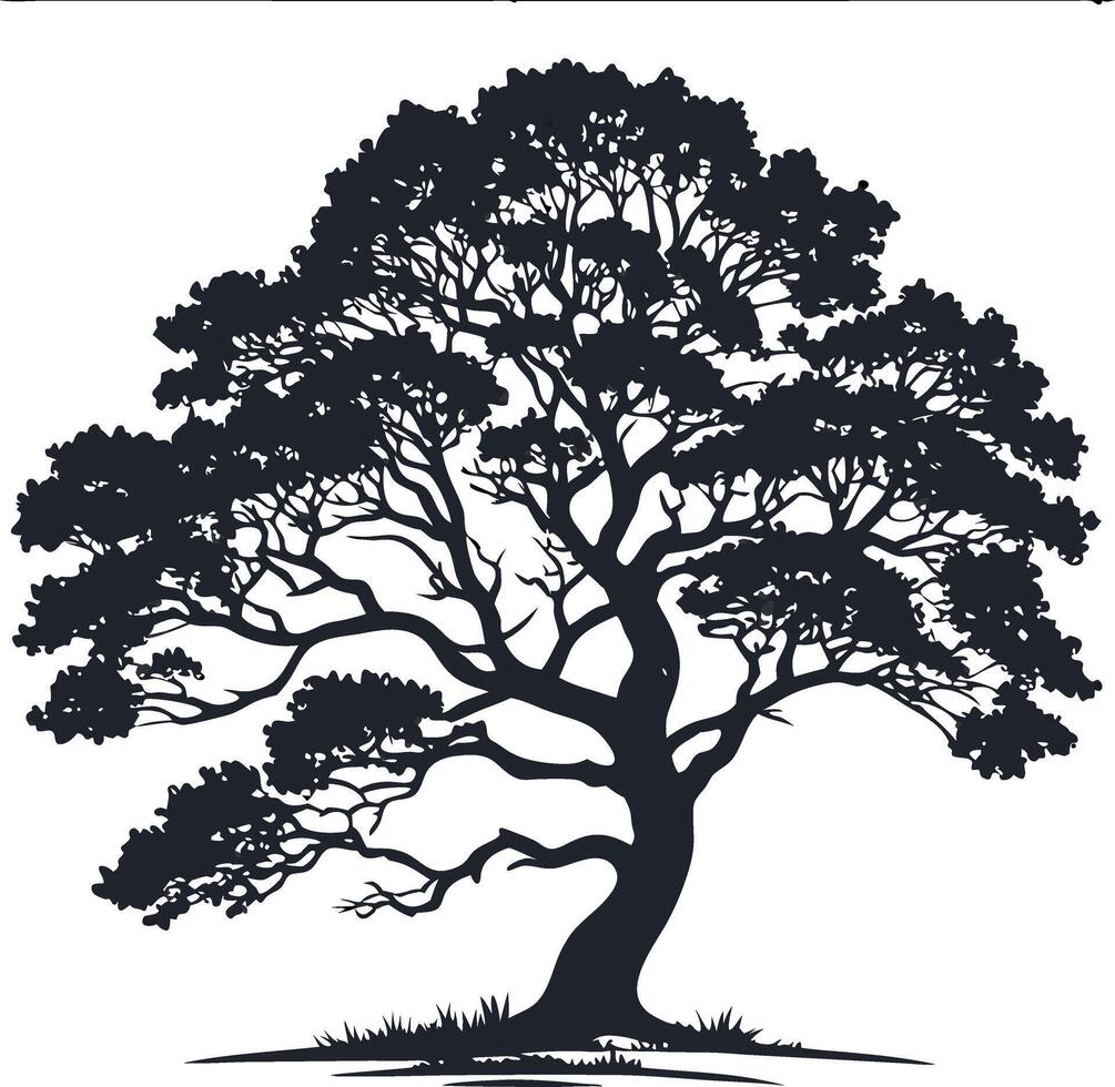 Large detailed silhouette of a deciduous tree with spreading branches vector