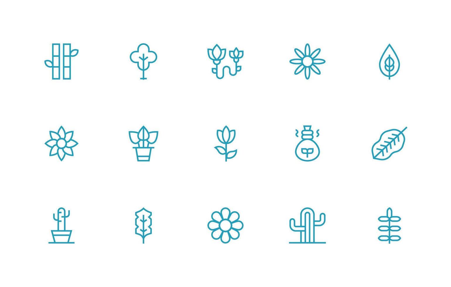 Regular Line Icons from Botanical Set with 15 Vectors Core Icon Collection for Daily Tasks