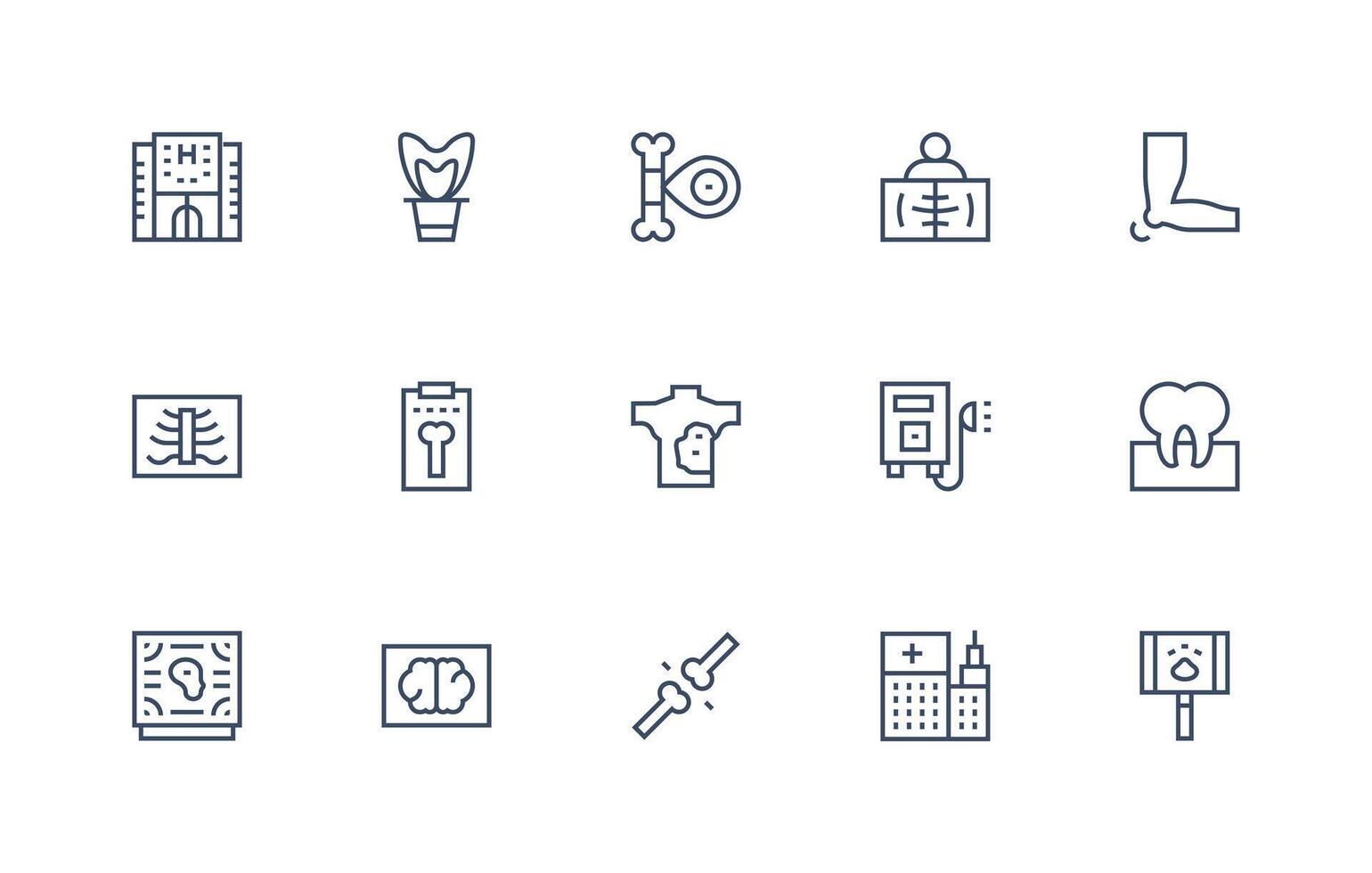 Regular Line Icons from Xray Set with 15 Vectors Professional Icon Set