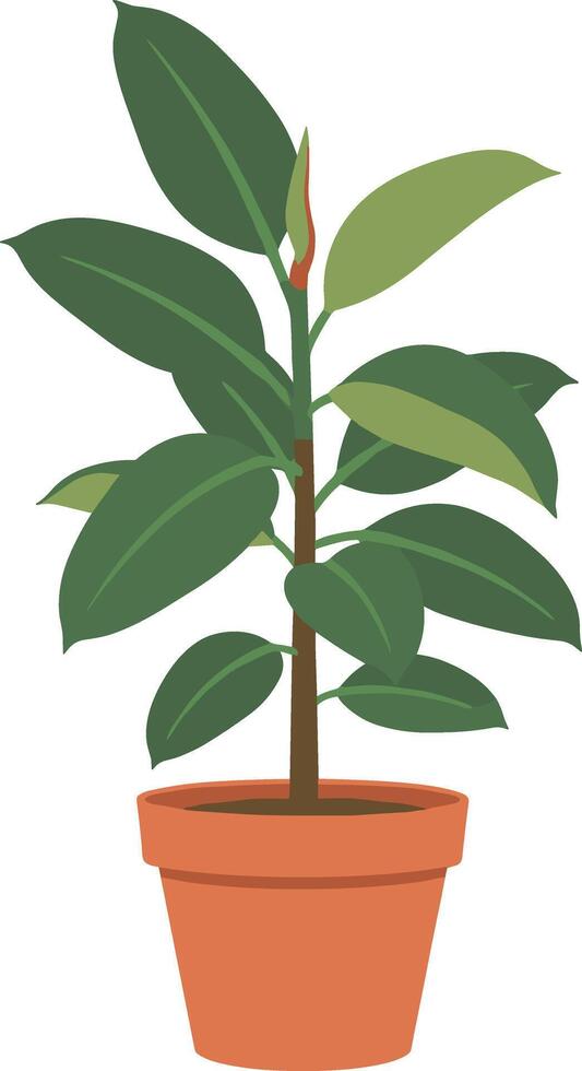 sencillo estilo ficus elastica planta en arcilla maceta ilustración aislado vector